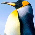 bklaus1992's Channel